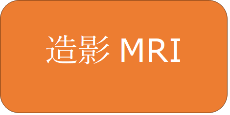 %e9%80%a0%e5%bd%b1mri